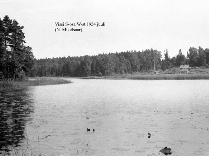 Maakond: Tartumaa Veekogu nimi: Vissi järv Pildistamise aeg: juuli 1954 Pildistaja: N. Mikelsaar Pildistamise koht: NW-st Asimuut: