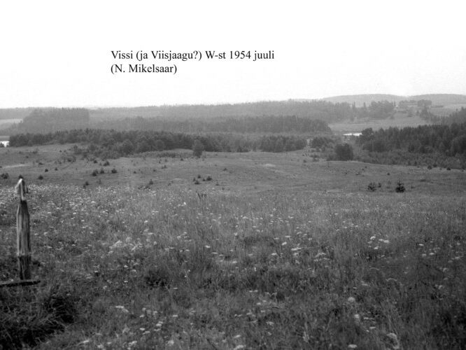 Maakond: Tartumaa Veekogu nimi: Vissi järv Pildistamise aeg: juuli 1954 Pildistaja: N. Mikelsaar Pildistamise koht: W-st, kaugelt Asimuut: