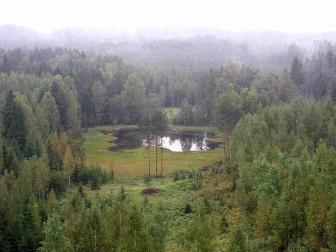 Maakond: Tartumaa Veekogu nimi: Viti järv Pildistamise aeg: 2. september 2004 Pildistaja: H. Timm Pildistamise koht: Vitipalu tornist Asimuut: