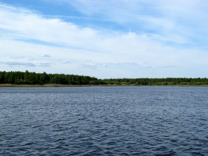 Maakond: Tartumaa Veekogu nimi: Võngjärv Pildistamise aeg: 28. mai 2012 Pildistaja: H. Timm Pildistamise koht: teadmata Asimuut: