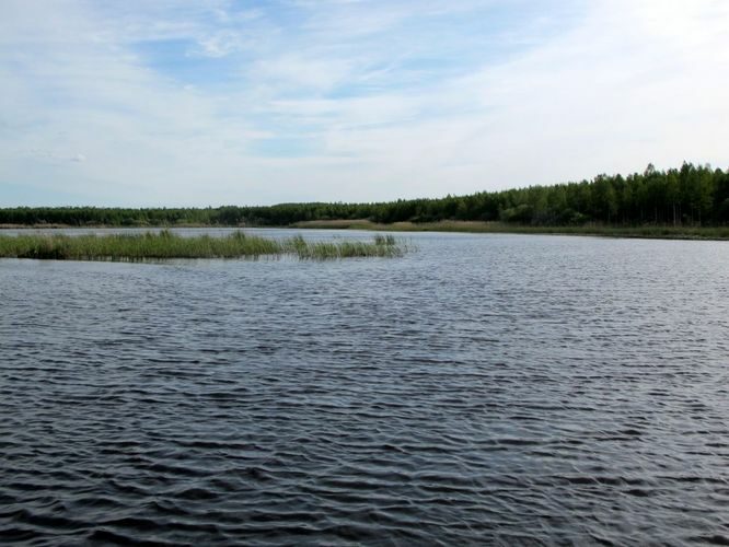 Maakond: Tartumaa Veekogu nimi: Võngjärv Pildistamise aeg: 28. mai 2012 Pildistaja: H. Timm Pildistamise koht: Ahja jõelt Asimuut: