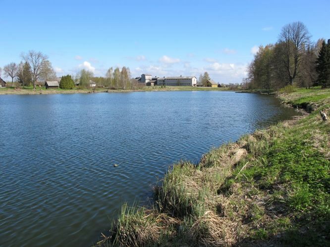 Maakond: Tartumaa Veekogu nimi: Võnnu ülemine paisjärv Pildistamise aeg: 5. mai 2011 Pildistaja: H. Timm Pildistamise koht: E osa Asimuut: