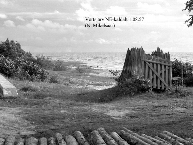 Maakond: Tartumaa Veekogu nimi: Võrtsjärv Pildistamise aeg: 1. august 1957 Pildistaja: N. Mikelsaar Pildistamise koht: NE kaldalt Asimuut: