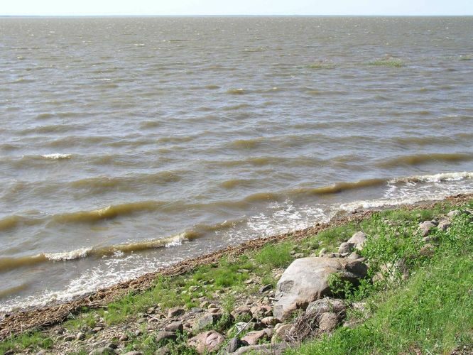 Maakond: Tartumaa Veekogu nimi: Võrtsjärv Pildistamise aeg: 11. juuni 2003 Pildistaja: H. Timm Pildistamise koht: teadmata Asimuut: