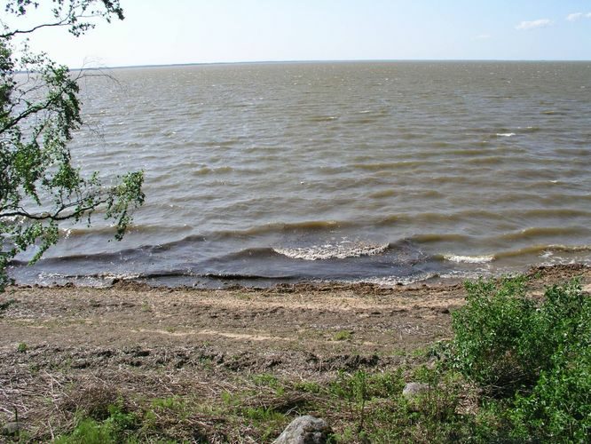 Maakond: Tartumaa Veekogu nimi: Võrtsjärv Pildistamise aeg: 11. juuni 2003 Pildistaja: H. Timm Pildistamise koht: teadmata Asimuut: