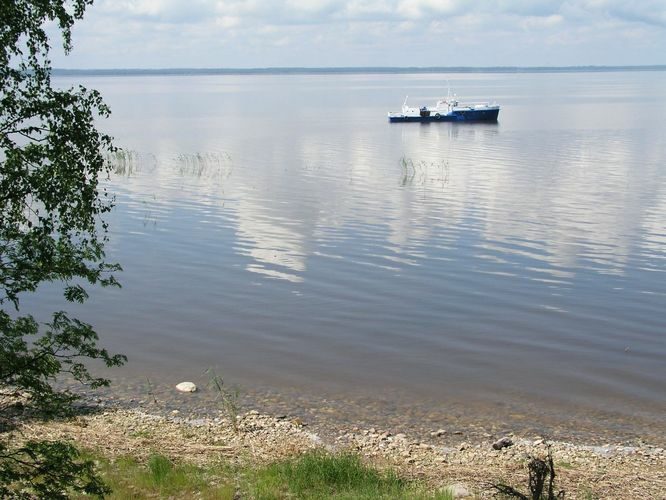 Maakond: Tartumaa Veekogu nimi: Võrtsjärv Pildistamise aeg: 6. juuli 2003 Pildistaja: H. Timm Pildistamise koht: teadmata Asimuut: