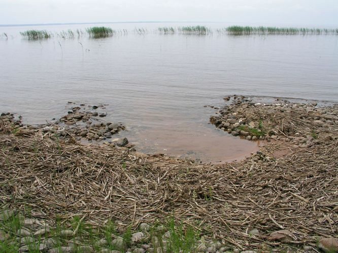 Maakond: Tartumaa Veekogu nimi: Võrtsjärv Pildistamise aeg: 13. juuli 2003 Pildistaja: H. Timm Pildistamise koht: teadmata Asimuut: