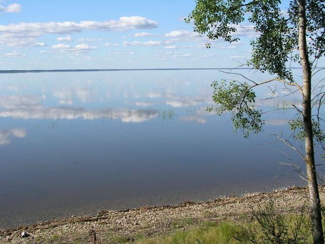 Maakond: Tartumaa Veekogu nimi: Võrtsjärv Pildistamise aeg: september 2003 Pildistaja: H. Timm Pildistamise koht: teadmata Asimuut: