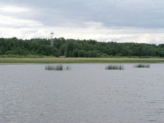 Maakond: Tartumaa Veekogu nimi: Võrtsjärv Pildistamise aeg: 1. september 2003 Pildistaja: H. Timm Pildistamise koht: Kivilõppe Asimuut: