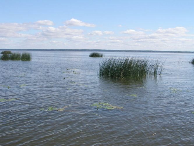 Maakond: Tartumaa Veekogu nimi: Võrtsjärv Pildistamise aeg: 1. september 2003 Pildistaja: H. Timm Pildistamise koht: teadmata Asimuut: