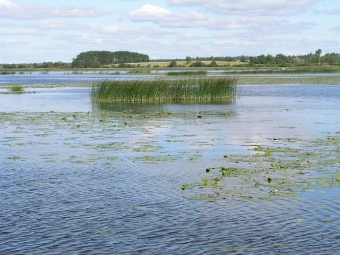 Maakond: Tartumaa Veekogu nimi: Võrtsjärv Pildistamise aeg: 1. september 2003 Pildistaja: H. Timm Pildistamise koht: teadmata Asimuut: