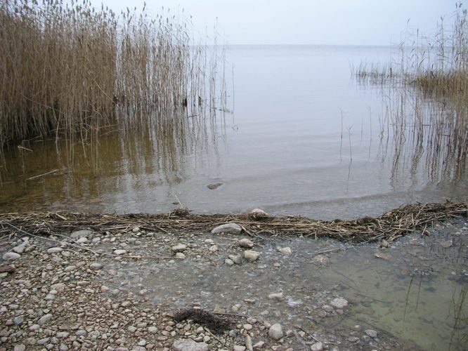 Maakond: Tartumaa Veekogu nimi: Võrtsjärv Pildistamise aeg: november 2003 Pildistaja: H. Timm Pildistamise koht: teadmata Asimuut: