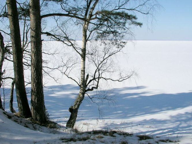 Maakond: Tartumaa Veekogu nimi: Võrtsjärv Pildistamise aeg: 13. märts 2004 Pildistaja: H. Timm Pildistamise koht: teadmata Asimuut: