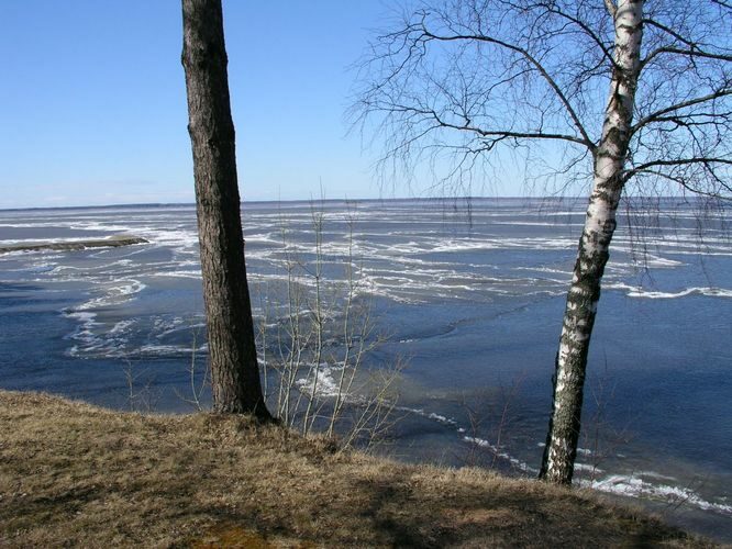 Maakond: Tartumaa Veekogu nimi: Võrtsjärv Pildistamise aeg: 11. aprill 2004 Pildistaja: H. Timm Pildistamise koht: teadmata Asimuut: