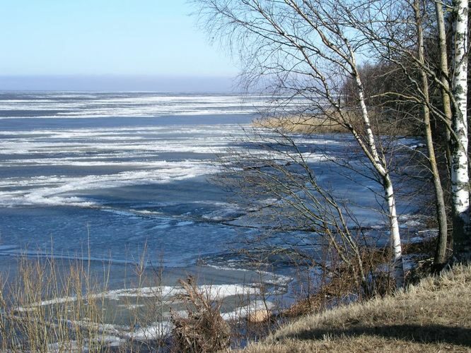 Maakond: Tartumaa Veekogu nimi: Võrtsjärv Pildistamise aeg: 11. aprill 2004 Pildistaja: H. Timm Pildistamise koht: teadmata Asimuut: