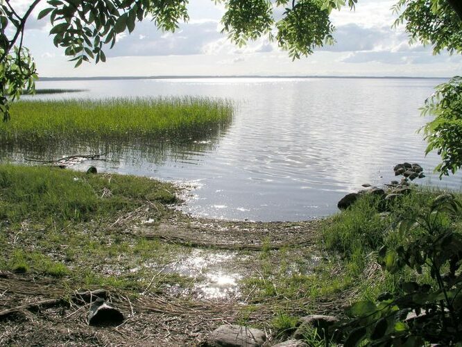 Maakond: Tartumaa Veekogu nimi: Võrtsjärv Pildistamise aeg: 19. juuni 2004 Pildistaja: H. Timm Pildistamise koht: teadmata Asimuut: