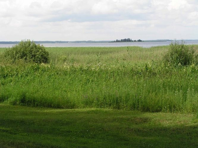 Maakond: Tartumaa Veekogu nimi: Võrtsjärv Pildistamise aeg: 11. juuli 2004 Pildistaja: H. Timm Pildistamise koht: teadmata Asimuut: