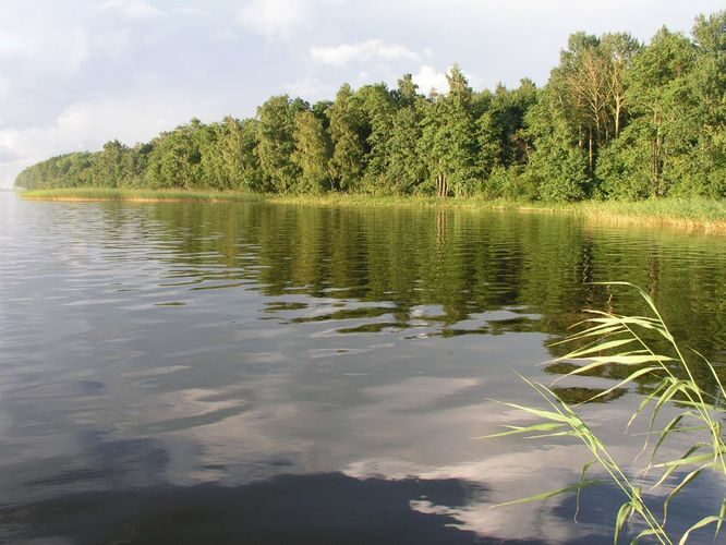 Maakond: Tartumaa Veekogu nimi: Võrtsjärv Pildistamise aeg: 31. juuli 2004 Pildistaja: H. Timm Pildistamise koht: paadist Asimuut: