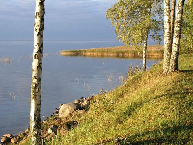 Maakond: Tartumaa Veekogu nimi: Võrtsjärv Pildistamise aeg: oktoober 2004 Pildistaja: H. Timm Pildistamise koht: teadmata Asimuut: