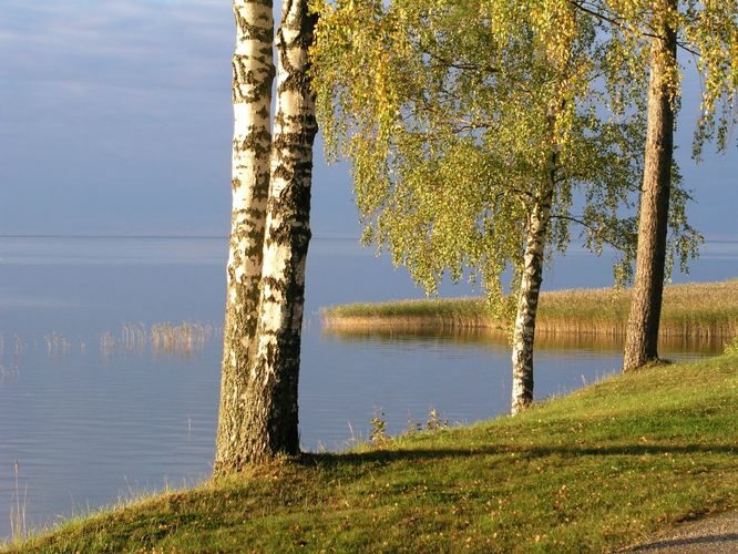 Maakond: Tartumaa Veekogu nimi: Võrtsjärv Pildistamise aeg: oktoober 2004 Pildistaja: H. Timm Pildistamise koht: teadmata Asimuut: