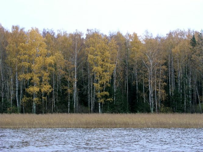 Maakond: Tartumaa Veekogu nimi: Võrtsjärv Pildistamise aeg: 25. oktoober 2004 Pildistaja: H. Timm Pildistamise koht: teadmata Asimuut: