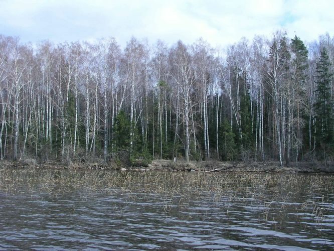 Maakond: Tartumaa Veekogu nimi: Võrtsjärv Pildistamise aeg: 25. aprill 2005 Pildistaja: H. Timm Pildistamise koht: Limnoloogia Asimuut: