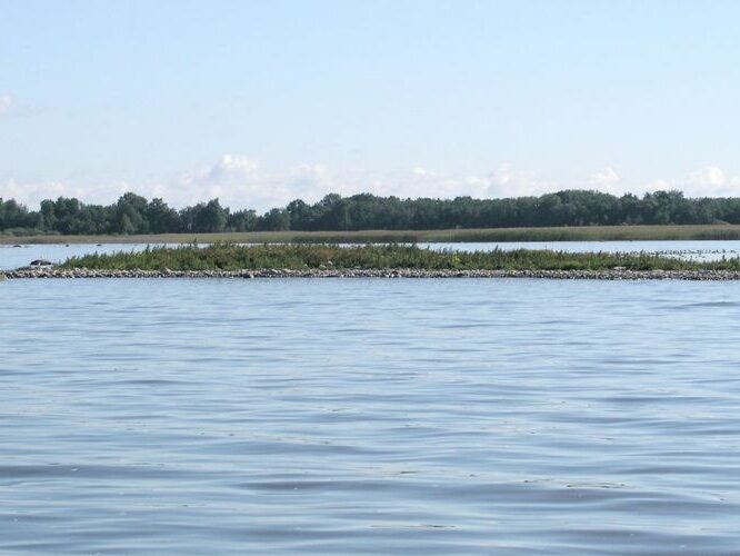 Maakond: Tartumaa Veekogu nimi: Võrtsjärv Pildistamise aeg: mai 2005 Pildistaja: H. Timm Pildistamise koht: Heinassaar Asimuut: