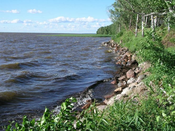 Maakond: Tartumaa Veekogu nimi: Võrtsjärv Pildistamise aeg: 27. juuni 2005 Pildistaja: H. Timm Pildistamise koht: teadmata Asimuut: