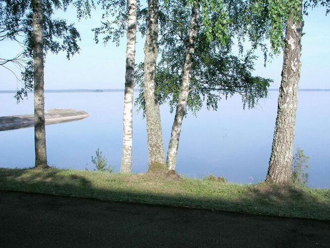 Maakond: Tartumaa Veekogu nimi: Võrtsjärv Pildistamise aeg: juuli 2005 Pildistaja: H. Timm Pildistamise koht: Limnoloogia Asimuut: