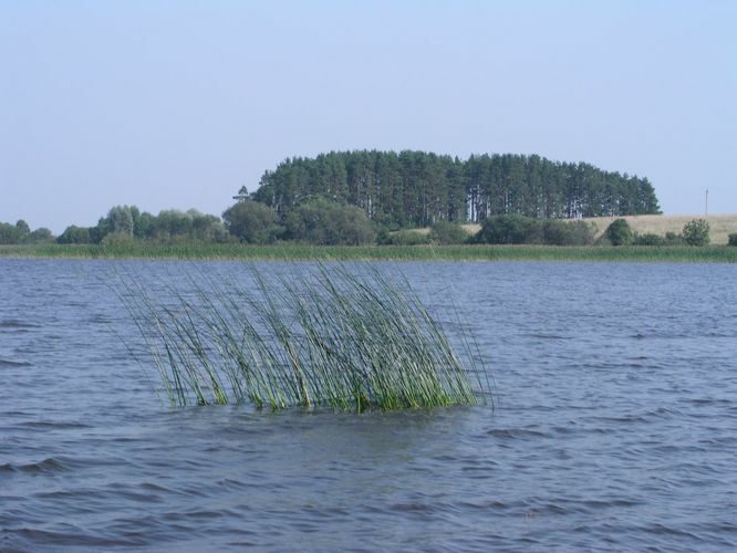 Maakond: Tartumaa Veekogu nimi: Võrtsjärv Pildistamise aeg: august 2005 Pildistaja: H. Timm Pildistamise koht: Rõngu jõe suudmest S Asimuut: