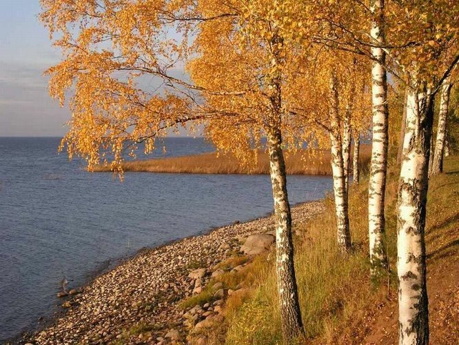 Maakond: Tartumaa Veekogu nimi: Võrtsjärv Pildistamise aeg: oktoober 2005 Pildistaja: H. Timm Pildistamise koht: Limnoloogia Asimuut: