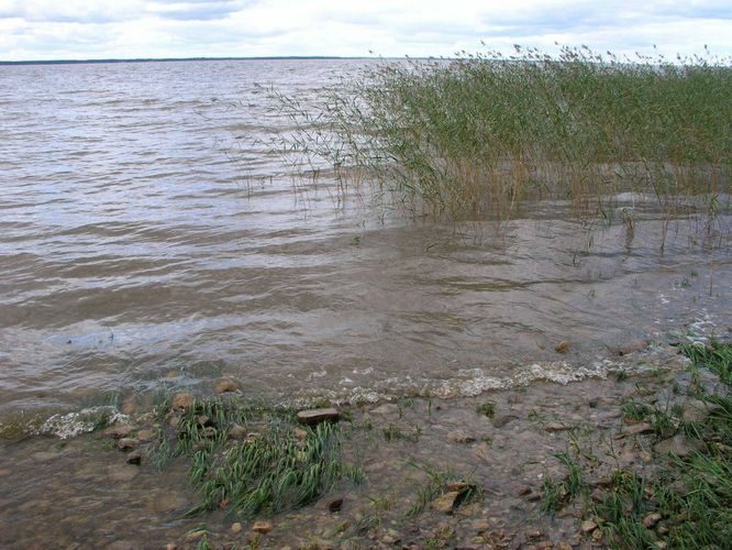 Maakond: Tartumaa Veekogu nimi: Võrtsjärv Pildistamise aeg: 12. oktoober 2005 Pildistaja: H. Timm Pildistamise koht: teadmata Asimuut: