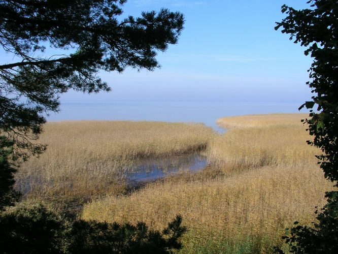 Maakond: Tartumaa Veekogu nimi: Võrtsjärv Pildistamise aeg: 12. oktoober 2005 Pildistaja: H. Timm Pildistamise koht: Tamme Asimuut: