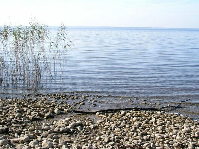 Maakond: Tartumaa Veekogu nimi: Võrtsjärv Pildistamise aeg: 12. oktoober 2005 Pildistaja: H. Timm Pildistamise koht: Sapi Asimuut: