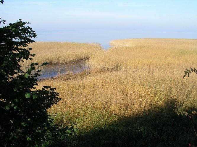 Maakond: Tartumaa Veekogu nimi: Võrtsjärv Pildistamise aeg: 12. oktoober 2005 Pildistaja: H. Timm Pildistamise koht: Tamme Asimuut: