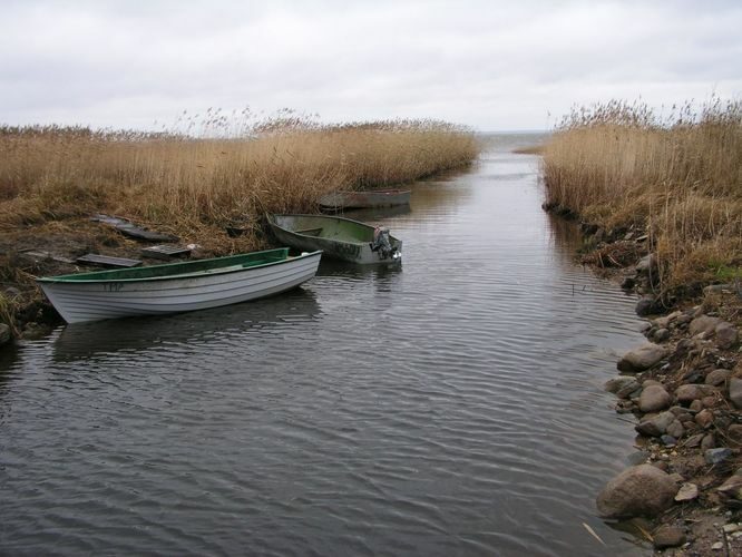 Maakond: Tartumaa Veekogu nimi: Võrtsjärv Pildistamise aeg: november 2005 Pildistaja: H. Timm Pildistamise koht: Rannaküla Asimuut: