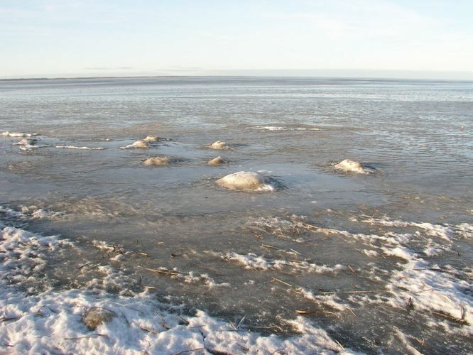 Maakond: Tartumaa Veekogu nimi: Võrtsjärv Pildistamise aeg: 2006 Pildistaja: H. Timm Pildistamise koht: Rannaküla, Petseri Asimuut: