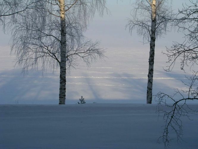 Maakond: Tartumaa Veekogu nimi: Võrtsjärv Pildistamise aeg: 16. märts 2006 Pildistaja: H. Timm Pildistamise koht: Limnoloogia Asimuut: