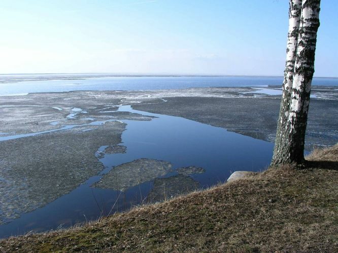 Maakond: Tartumaa Veekogu nimi: Võrtsjärv Pildistamise aeg: 10. aprill 2006 Pildistaja: H. Timm Pildistamise koht: teadmata Asimuut: