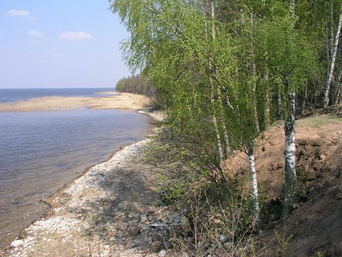 Maakond: Tartumaa Veekogu nimi: Võrtsjärv Pildistamise aeg: mai 2006 Pildistaja: H. Timm Pildistamise koht: Limnoloogia Asimuut: