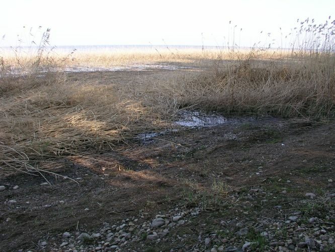 Maakond: Tartumaa Veekogu nimi: Võrtsjärv Pildistamise aeg: mai 2006 Pildistaja: H. Timm Pildistamise koht: Limnoloogia Asimuut: