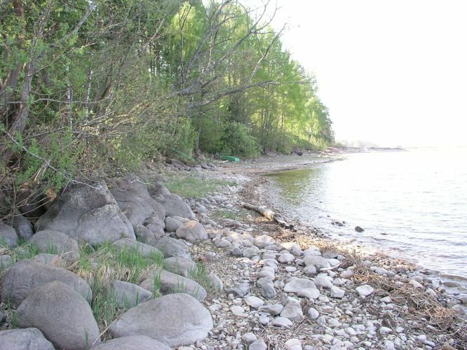 Maakond: Tartumaa Veekogu nimi: Võrtsjärv Pildistamise aeg: mai 2006 Pildistaja: H. Timm Pildistamise koht: Limnoloogia Asimuut: