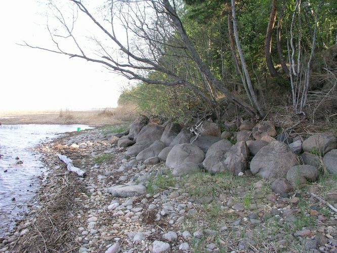 Maakond: Tartumaa Veekogu nimi: Võrtsjärv Pildistamise aeg: mai 2006 Pildistaja: H. Timm Pildistamise koht: Limnoloogia Asimuut: