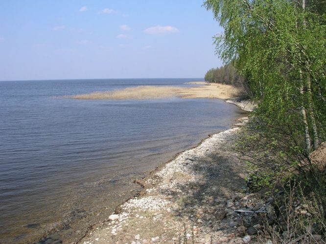 Maakond: Tartumaa Veekogu nimi: Võrtsjärv Pildistamise aeg: mai 2006 Pildistaja: H. Timm Pildistamise koht: Limnoloogia Asimuut: