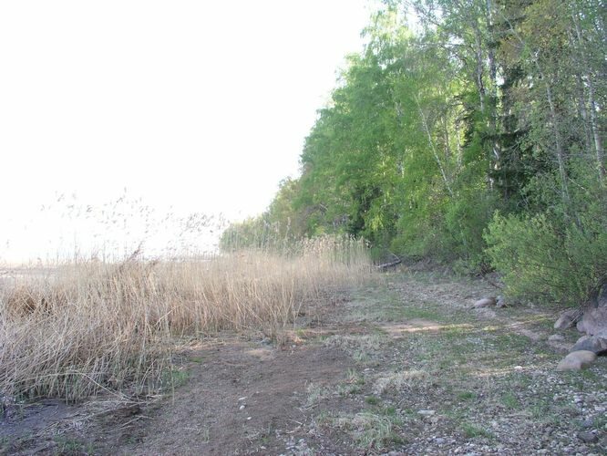 Maakond: Tartumaa Veekogu nimi: Võrtsjärv Pildistamise aeg: mai 2006 Pildistaja: H. Timm Pildistamise koht: Limnoloogia Asimuut: