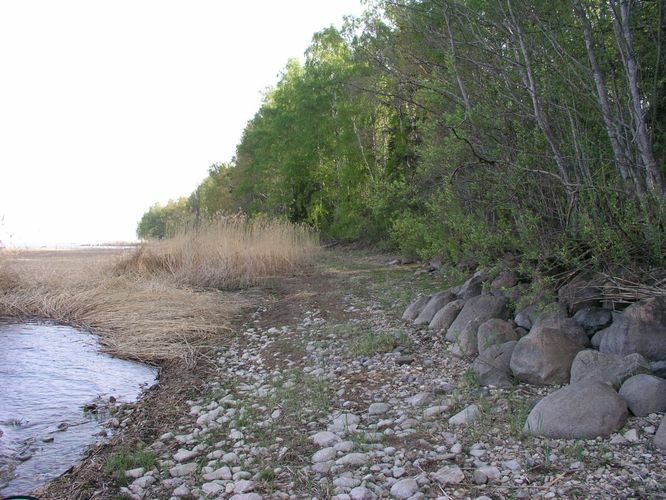 Maakond: Tartumaa Veekogu nimi: Võrtsjärv Pildistamise aeg: mai 2006 Pildistaja: H. Timm Pildistamise koht: Limnoloogia Asimuut: