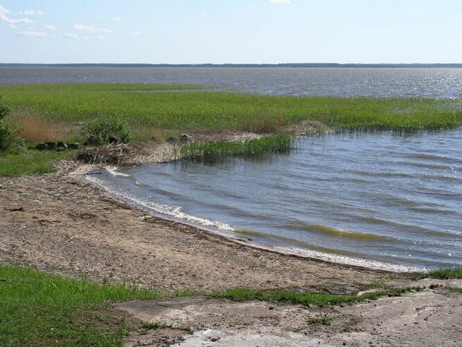 Maakond: Tartumaa Veekogu nimi: Võrtsjärv Pildistamise aeg: juuni 2006 Pildistaja: H. Timm Pildistamise koht: Limnoloogia Asimuut: