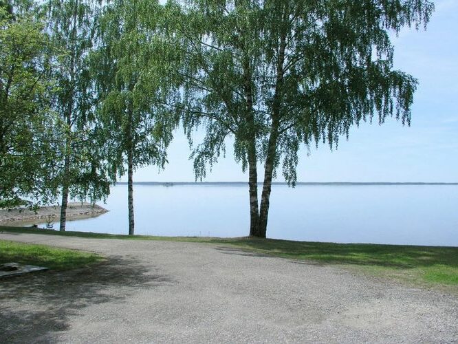 Maakond: Tartumaa Veekogu nimi: Võrtsjärv Pildistamise aeg: 17. juuni 2006 Pildistaja: H. Timm Pildistamise koht: Limnoloogia Asimuut: