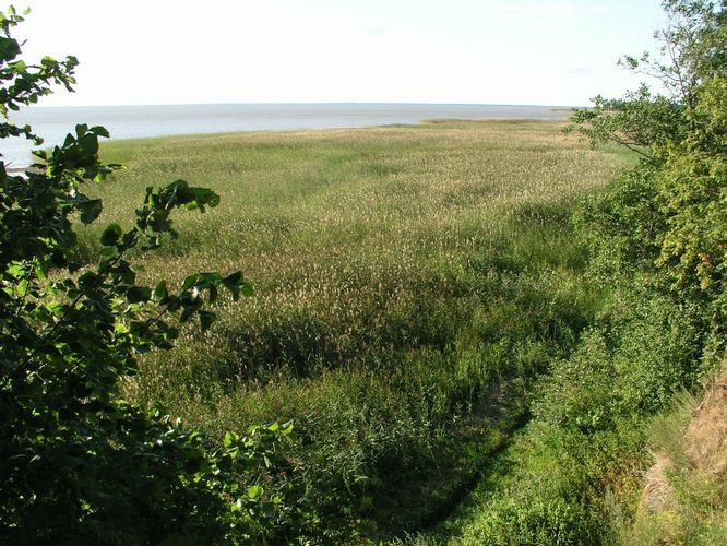 Maakond: Tartumaa Veekogu nimi: Võrtsjärv Pildistamise aeg: 27. juuli 2006 Pildistaja: H. Timm Pildistamise koht: Tamme pangalt Asimuut: