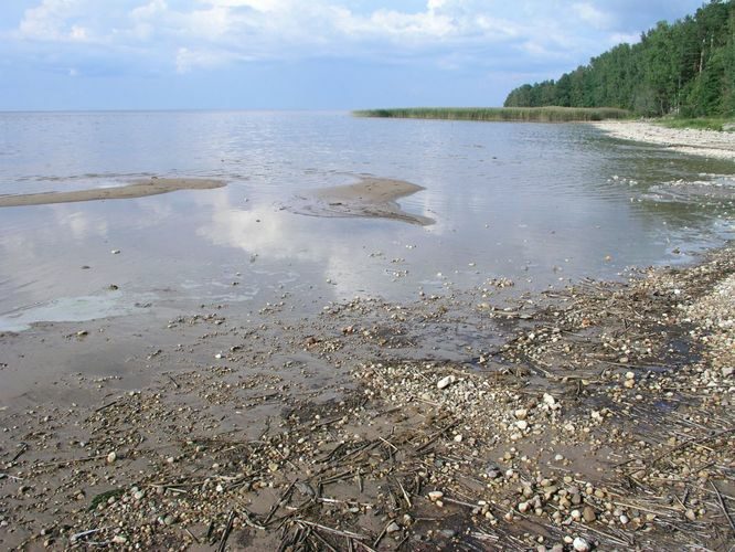 Maakond: Tartumaa Veekogu nimi: Võrtsjärv Pildistamise aeg: august 2006 Pildistaja: H. Timm Pildistamise koht: Limnoloogia Asimuut: